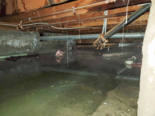 Best Sewage cleanup and water damage restoration  in Cleburne, TX