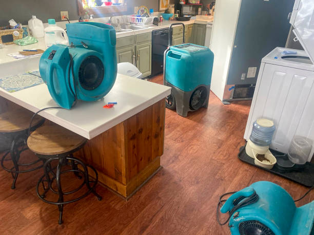 Best 24-hour water damage restoration  in Cleburne, TX
