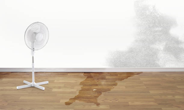 Best Fire Damage Restoration  in Cleburne, TX