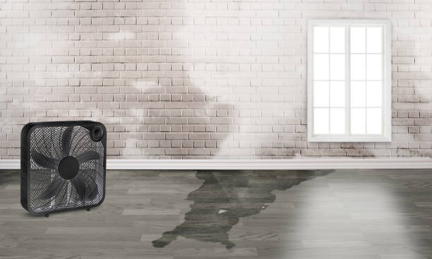Best Ceiling water damage repair  in Cleburne, TX