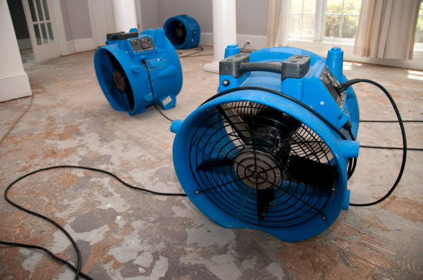 Best Flood damage cleanup  in Cleburne, TX