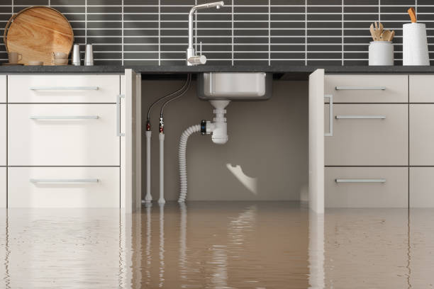 Best Water damage restoration specialists  in Cleburne, TX