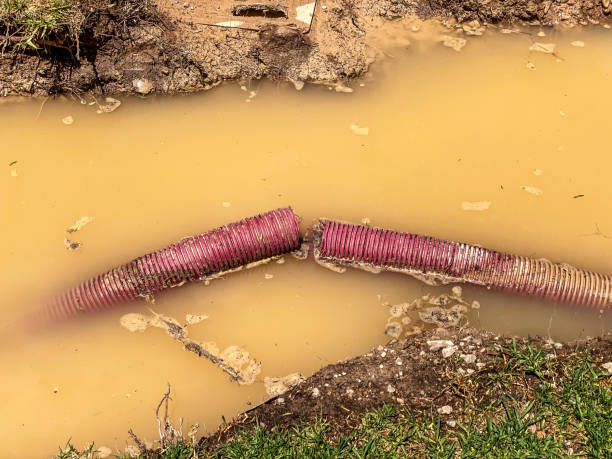 Best Water damage contractors near me  in Cleburne, TX